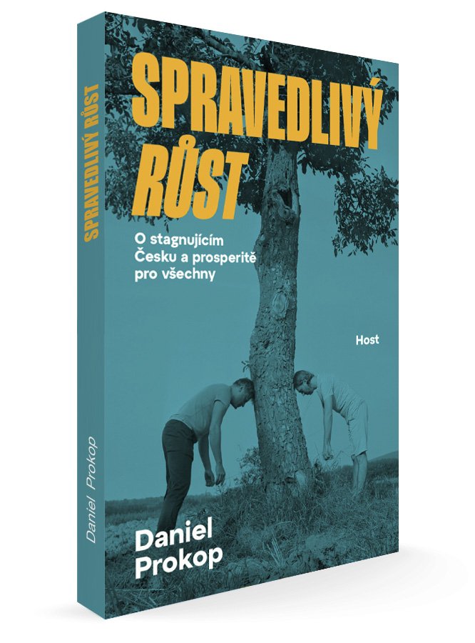 Kniha Spravedlivý růst